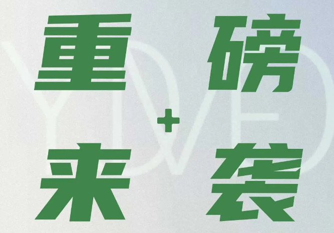 双校联动·美育启航｜武汉育才美术高级中学2026年招生简章