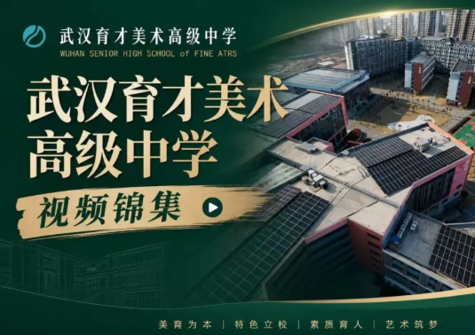 武汉育才美术高级中学视频锦集